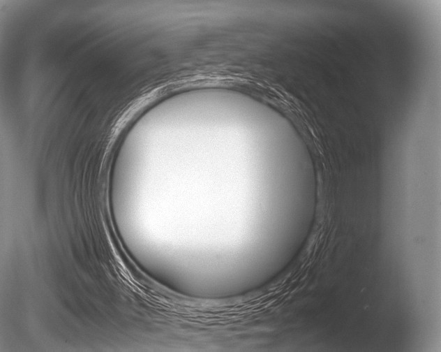 X0000086290003200703300914