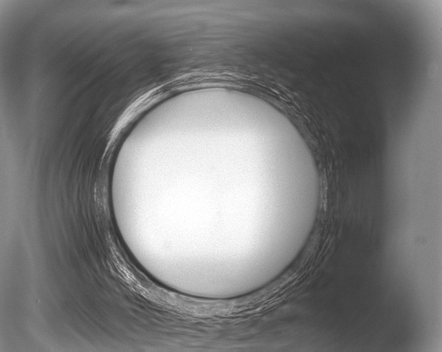 X0000086290004200703300914