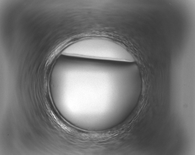X0000086290005200703300914