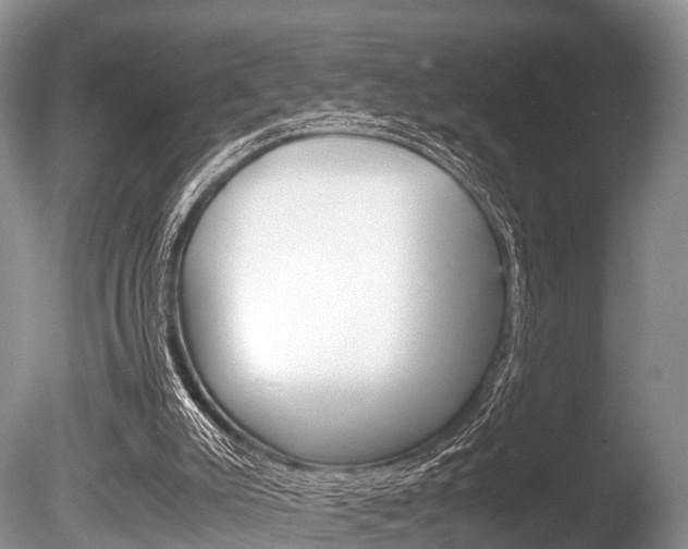 X0000086290007200703300914