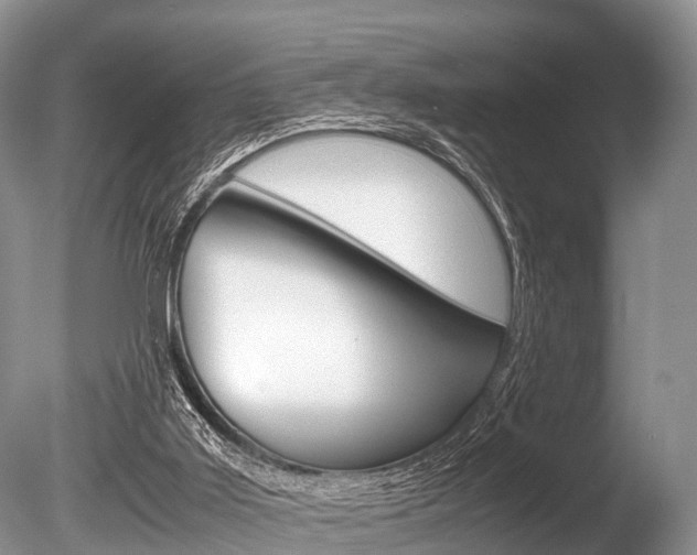 X0000086290011200703300914