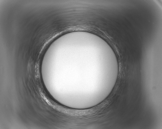 X0000086290012200703300914