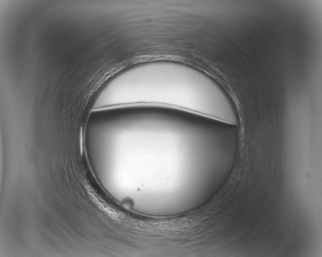X0000086290013200703300914