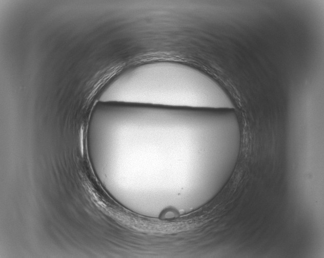 X0000086290014200703300914