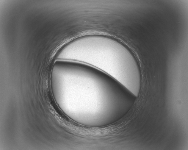 X0000086290015200703300914