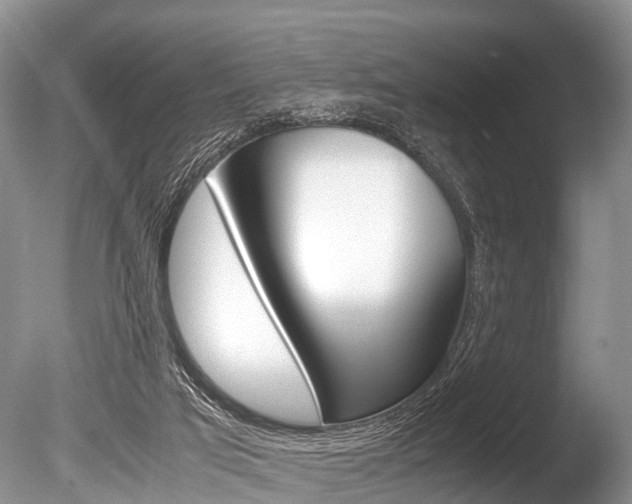 X0000086290017200703300914