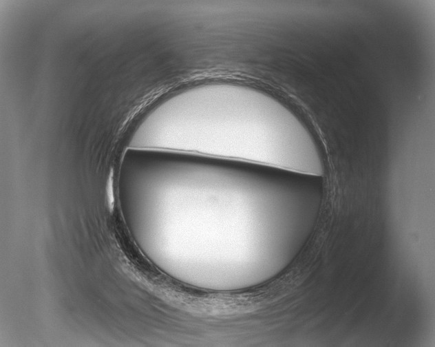 X0000086290020200703300914