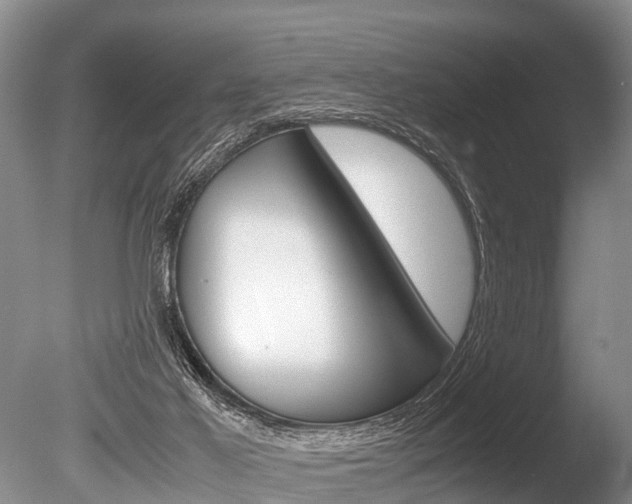 X0000086290021200703300914