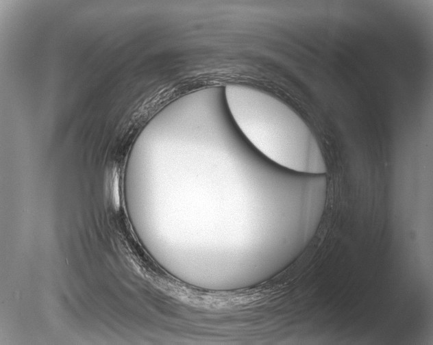 X0000086290022200703300914
