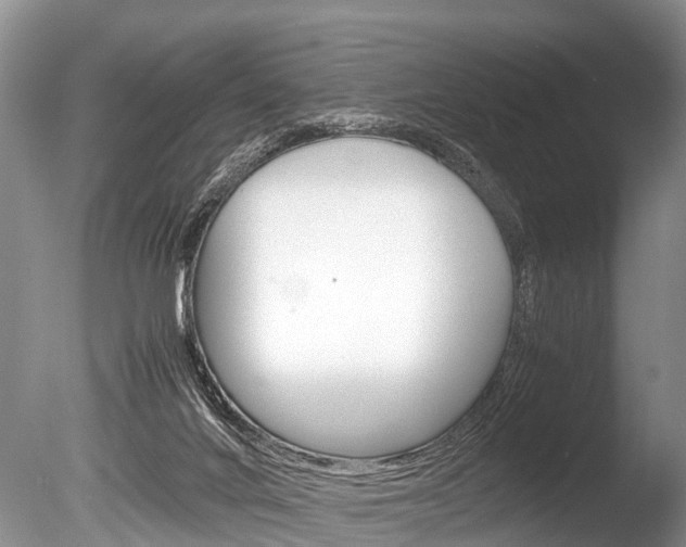 X0000086290024200703300914