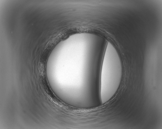 X0000086290025200703300914