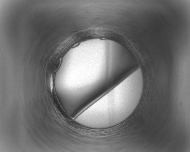 X0000086290027200703300914