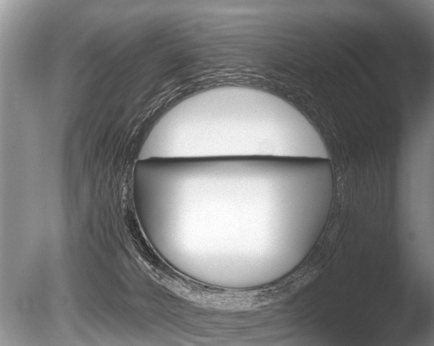 X0000086290032200703300914