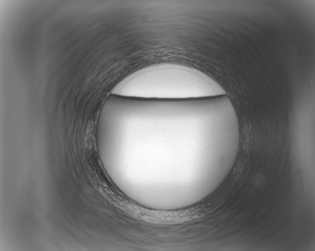 X0000086290034200703300914