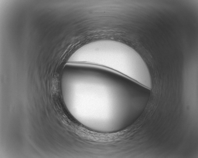 X0000086290035200703300913