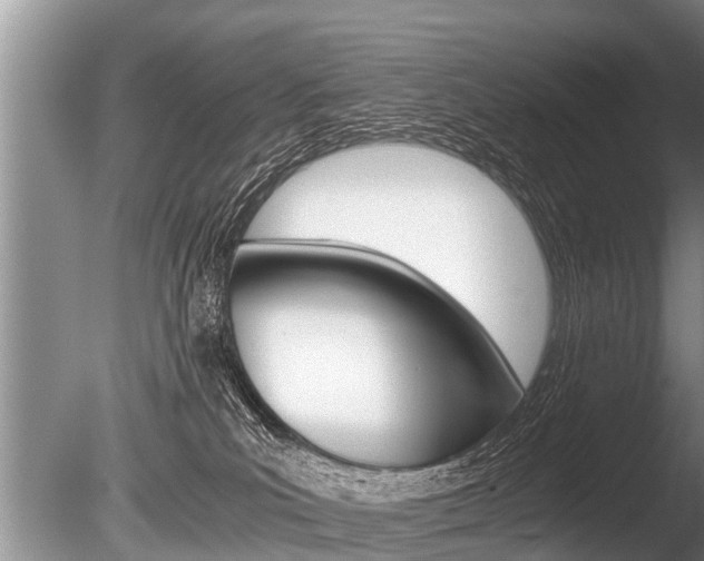 X0000086290039200703300913