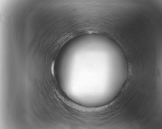X0000086290047200703300913