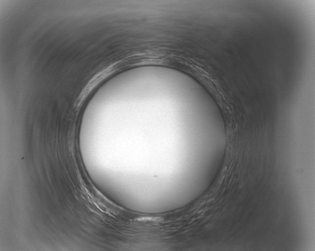 X0000086290051200703300912