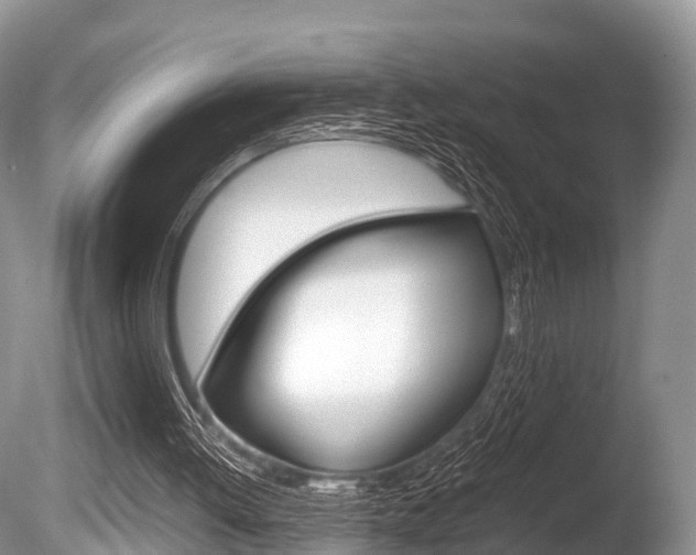 X0000086290052200703300912