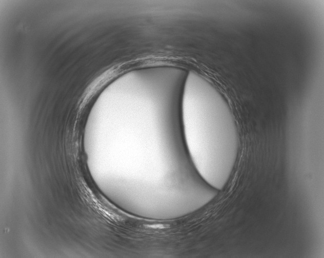 X0000086290053200703300913