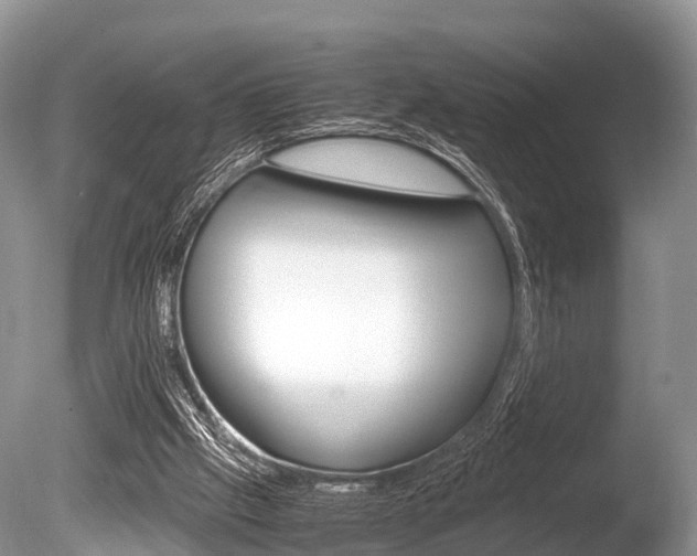 X0000086290057200703300913