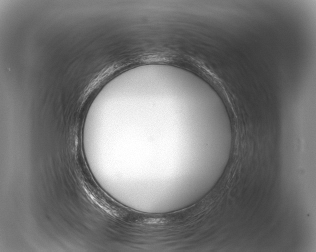X0000086290059200703300913