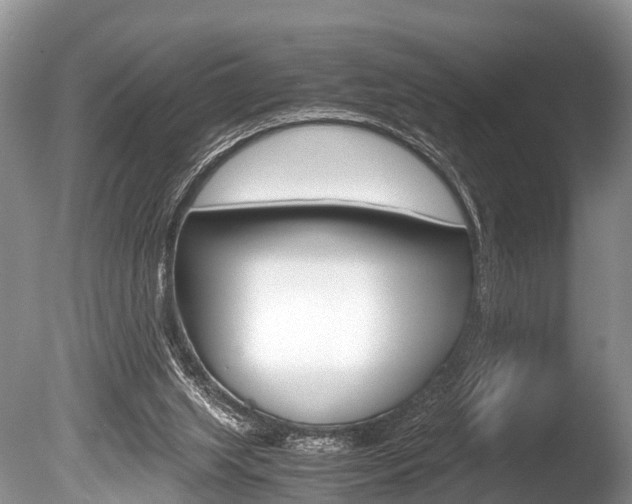 X0000086290063200703300913