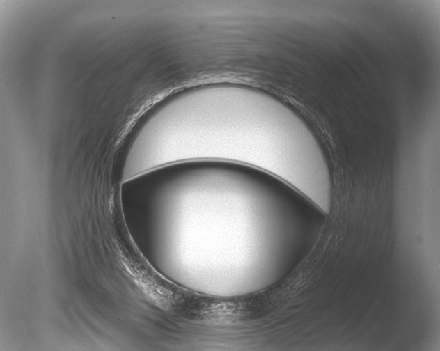 X0000086290064200703300913