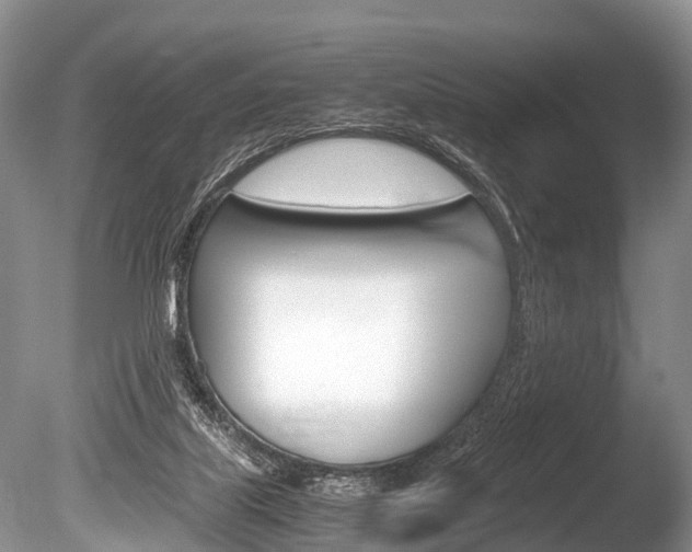 X0000086290067200703300913