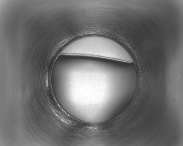 X0000086290068200703300913