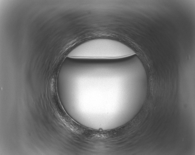 X0000086290071200703300913