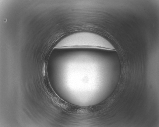 X0000086290076200703300913