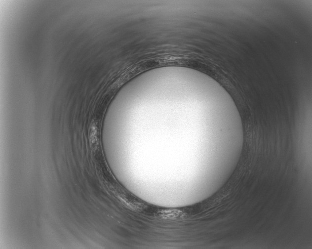 X0000086290087200703300913