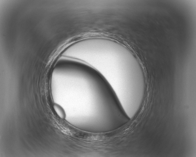 X0000086290103200703300912