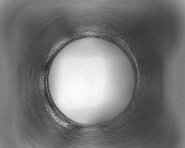 X0000086290106200703300912