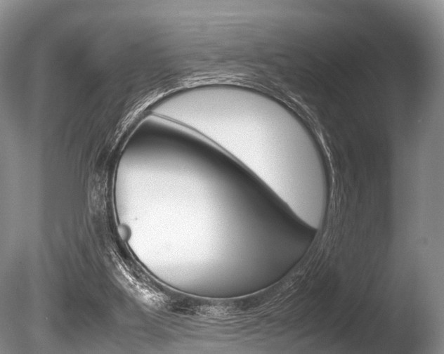 X0000086290107200703300912