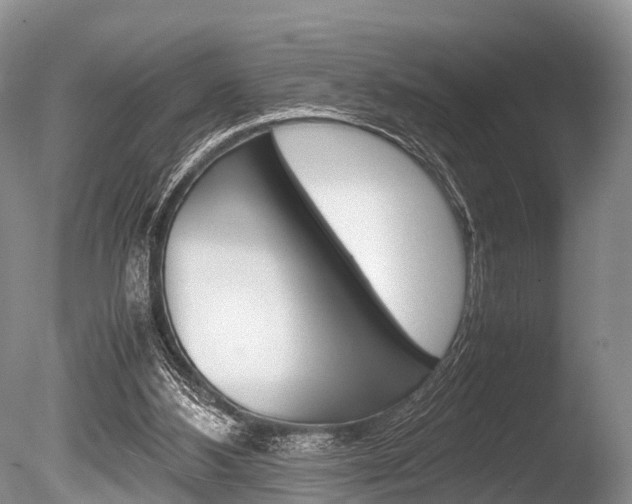 X0000086290108200703300912