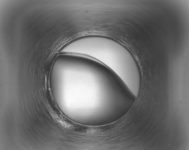 X0000086290109200703300912