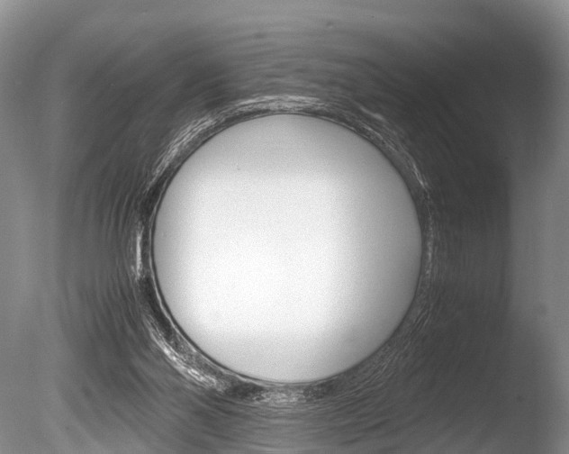 X0000086290110200703300912