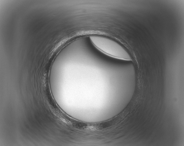 X0000086290111200703300912