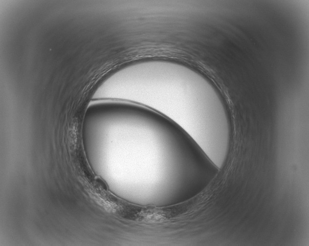 X0000086290113200703300912