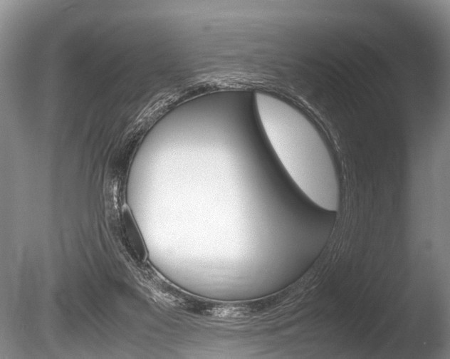 X0000086290117200703300912