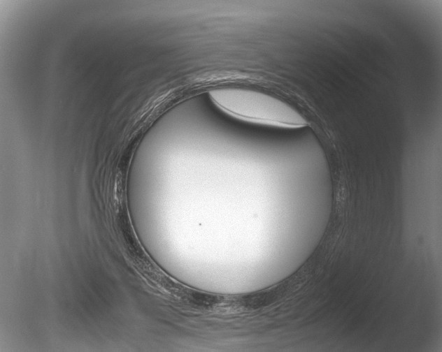 X0000086290119200703300912
