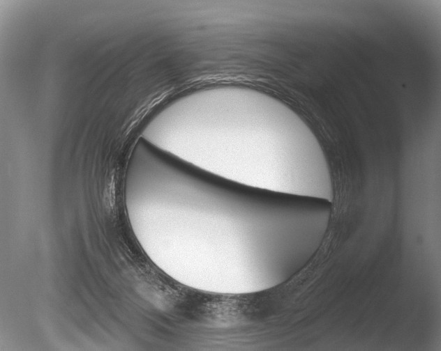 X0000086290120200703300912