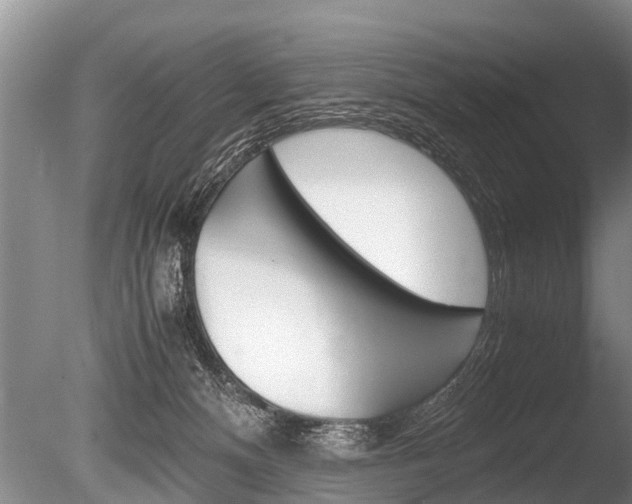 X0000086290128200703300912