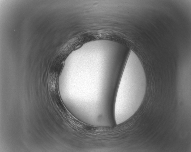 X0000086290129200703300912