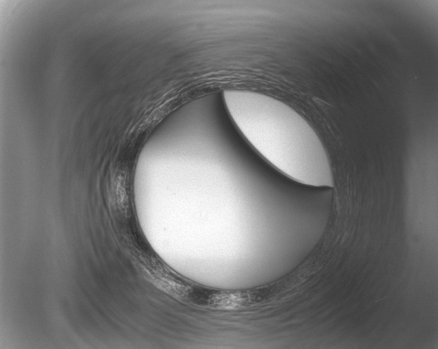 X0000086290131200703300912