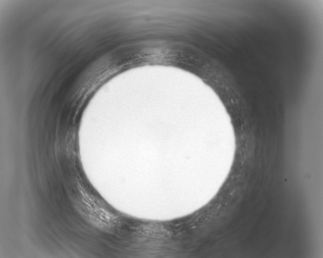 X0000086290146200703300911