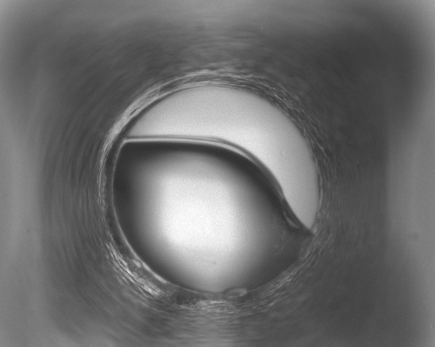 X0000086290150200703300911