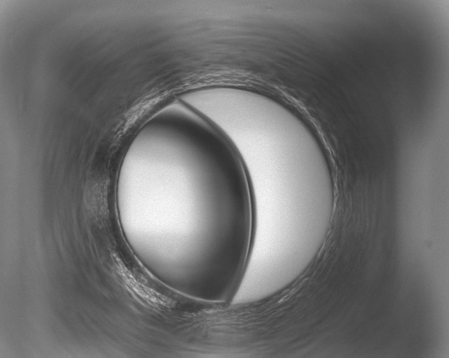 X0000086290154200703300911